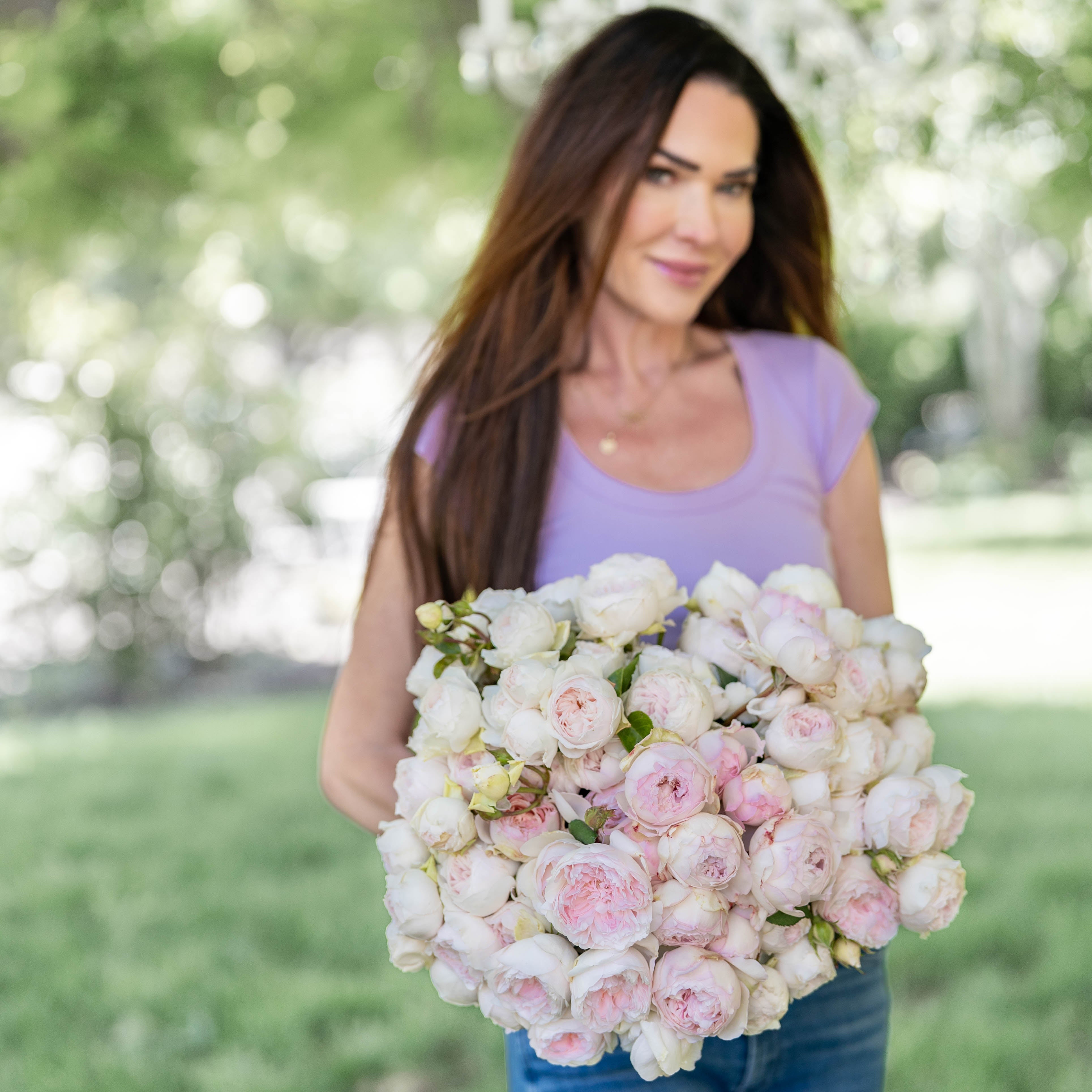 Parfuma® Earth Angel™ Potted Rose Bush