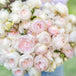 Parfuma® Earth Angel™ Potted Rose Bush