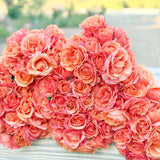 Easy Does It® Bare Root Tree Rose