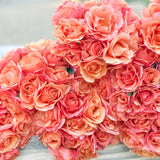 Easy Does It® Bare Root Tree Rose