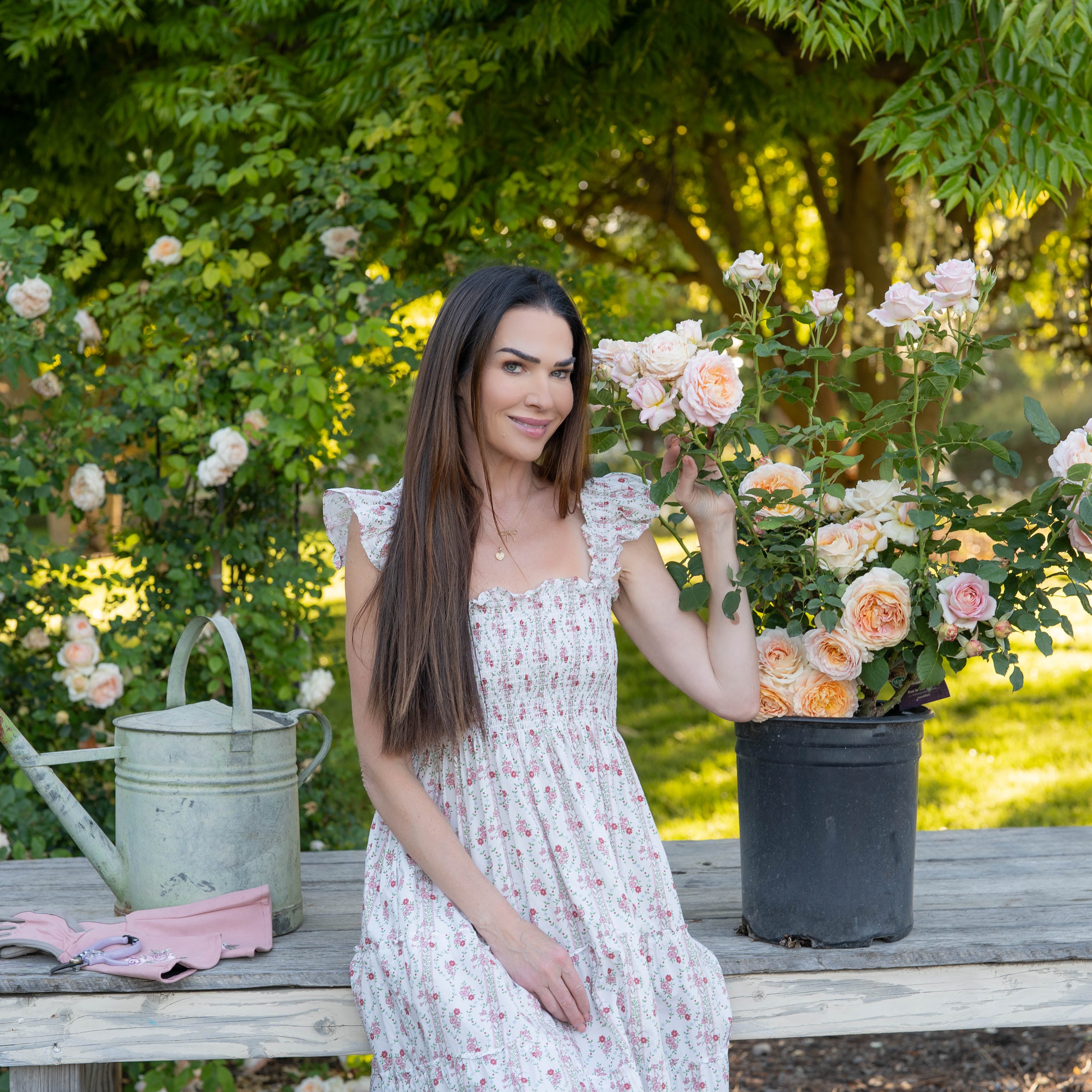Fun in the Sun™ Potted Tree Rose