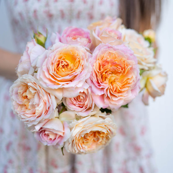 Fun in the Sun™ Potted Tree Rose