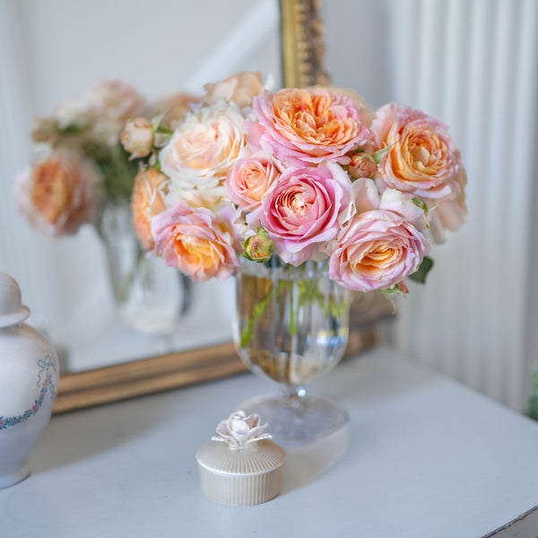 Fun in the Sun™ Potted Rose Bush