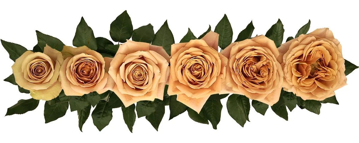 Golden Mustard® Bouquet