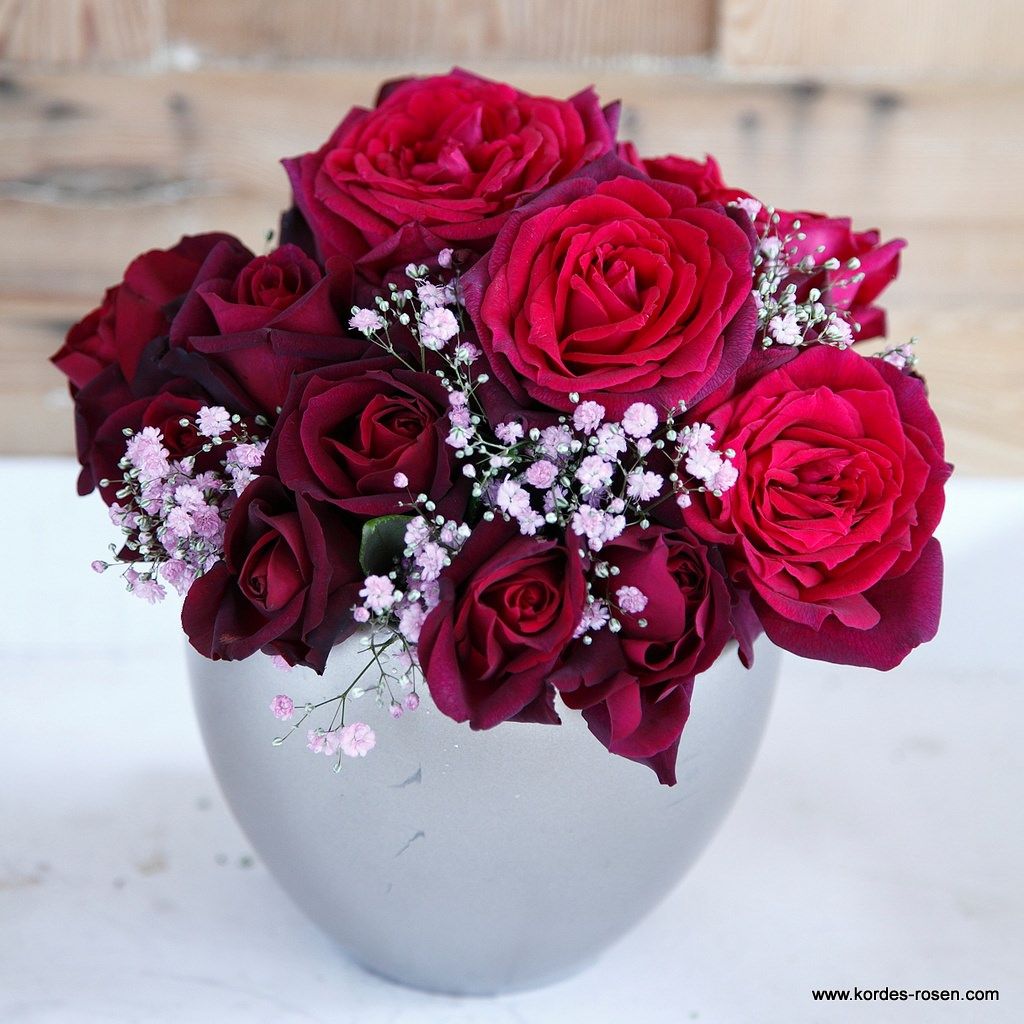Parfuma® Dark Desire™ Bare Root Rose Bush