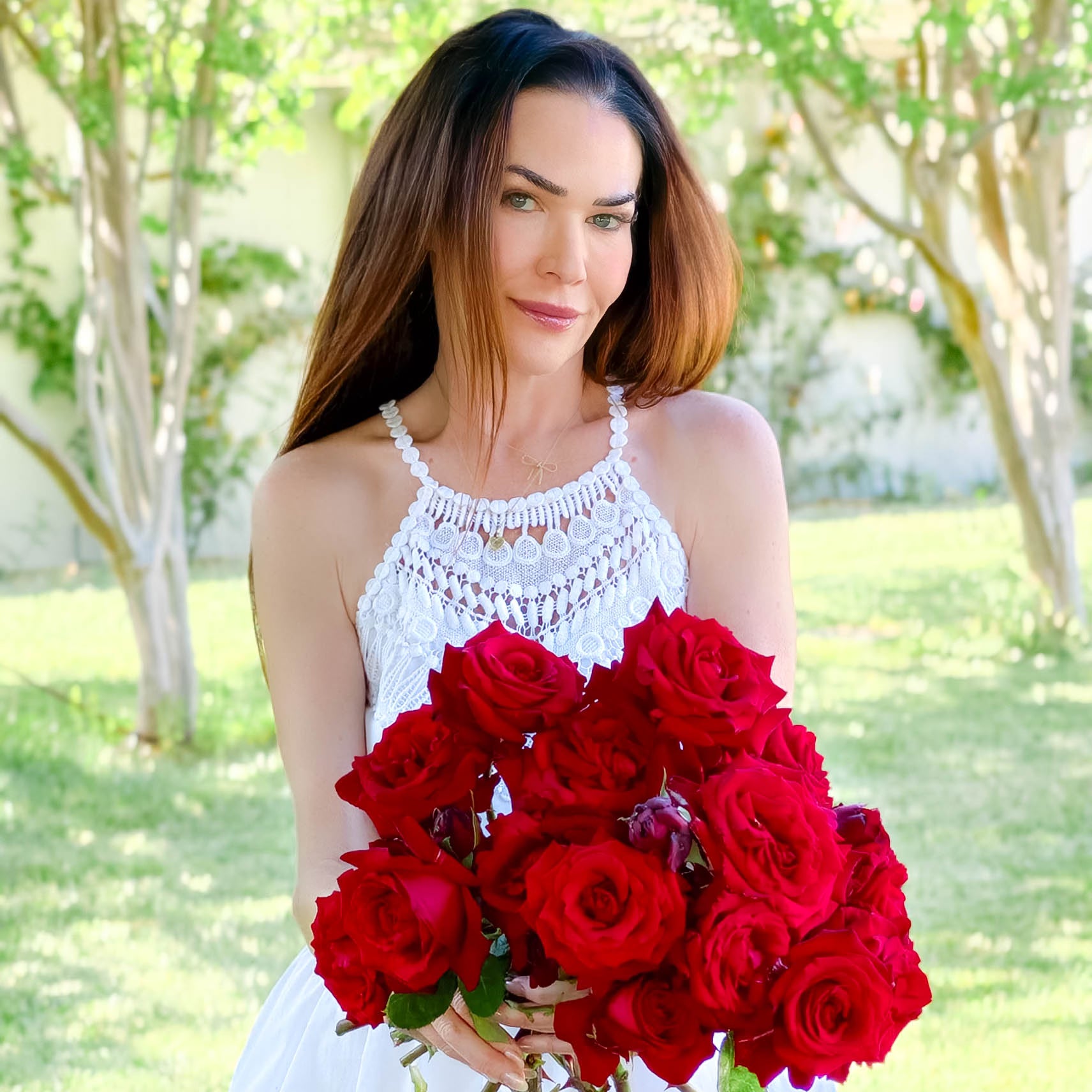 Ingrid Bergman® Bare Root Tree Rose