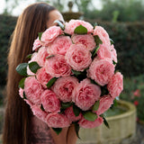 "Always in Bloom" Garden Rose Subscription