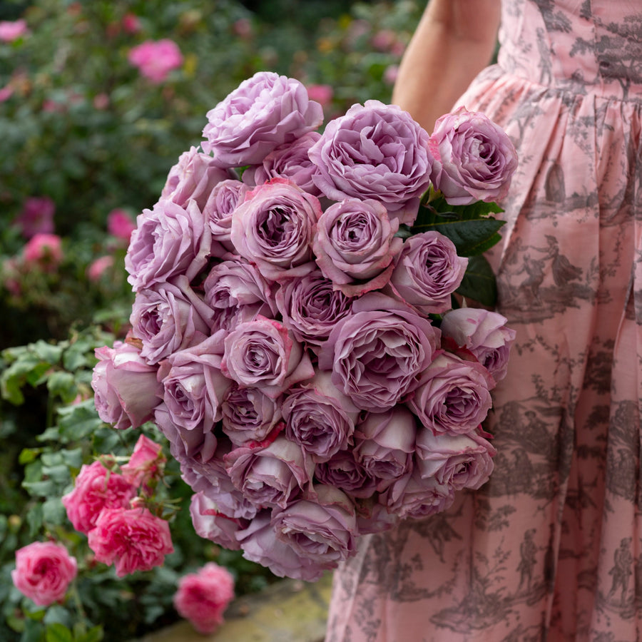 Lavender Bouquet®