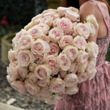 "Always in Bloom" Garden Rose Subscription