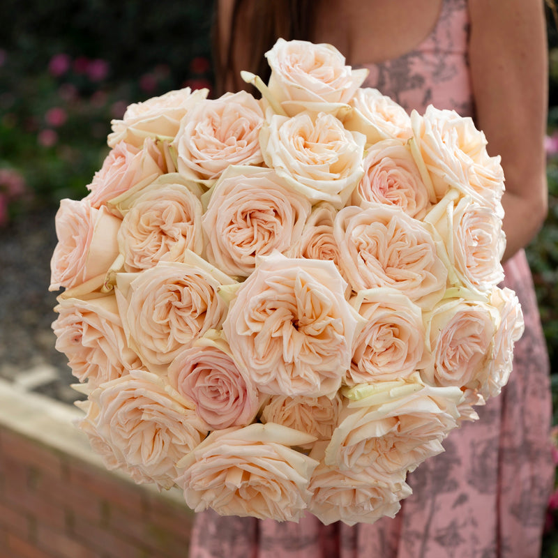 "Always in Bloom" Garden Rose Subscription