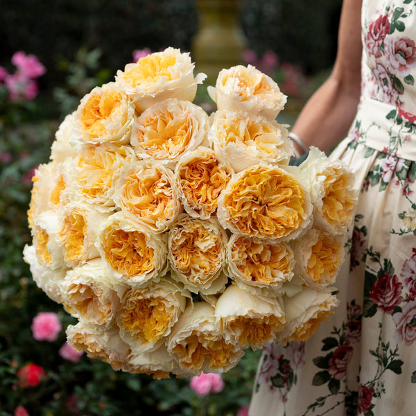 Beatrice™ Special Bouquet