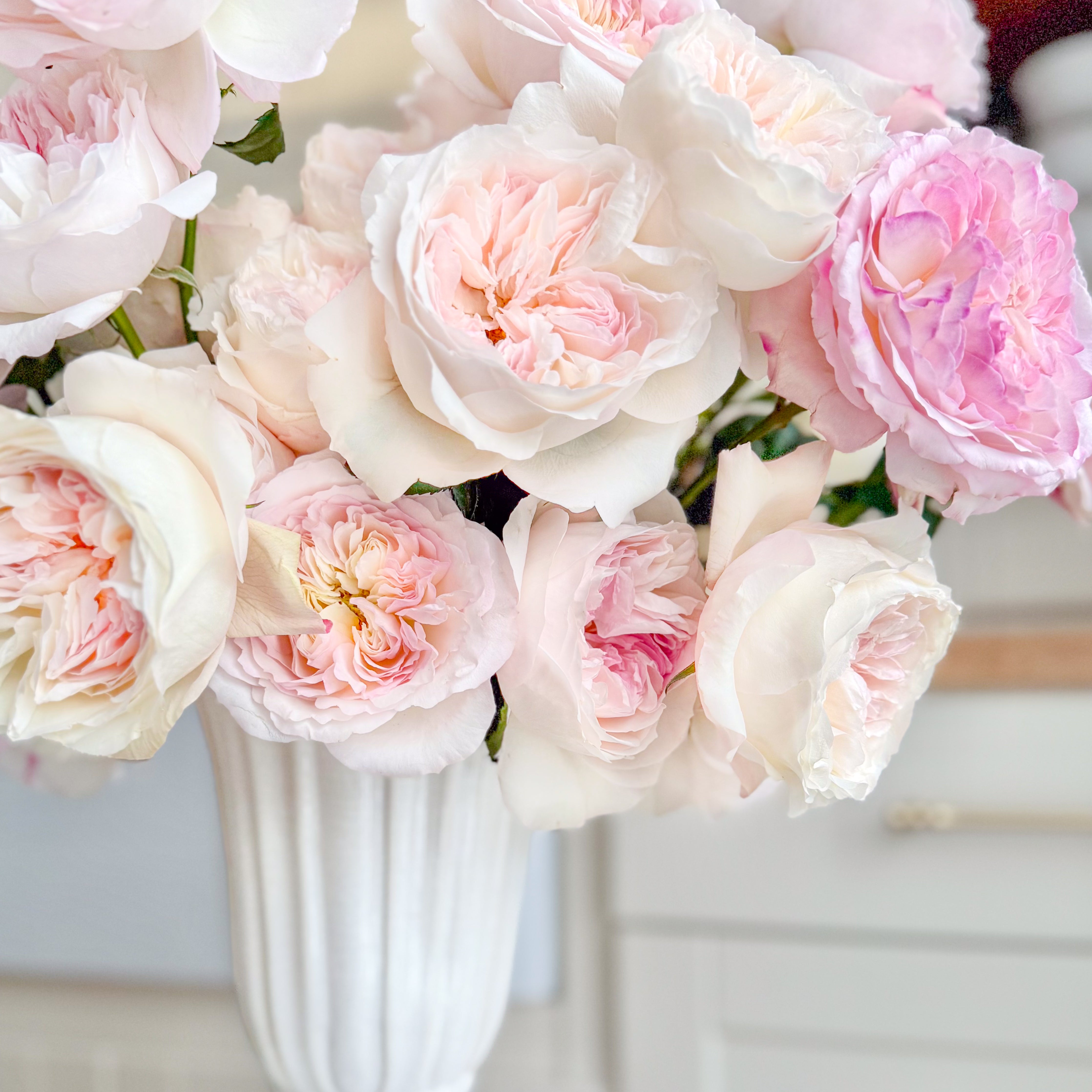 David Austin® Keira™ Bouquet