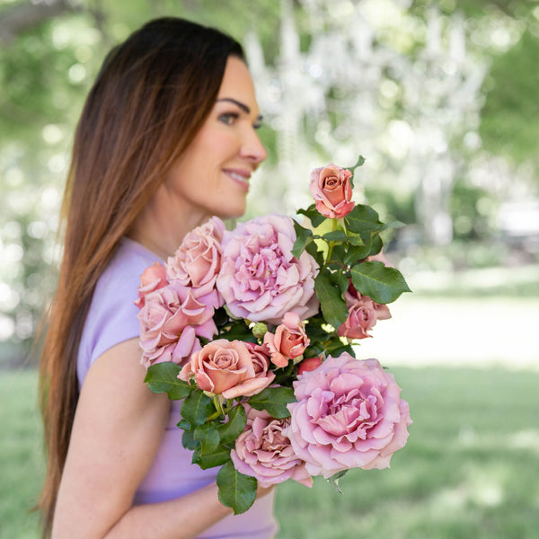 Koko Loko™ Bare Root Rose Bush