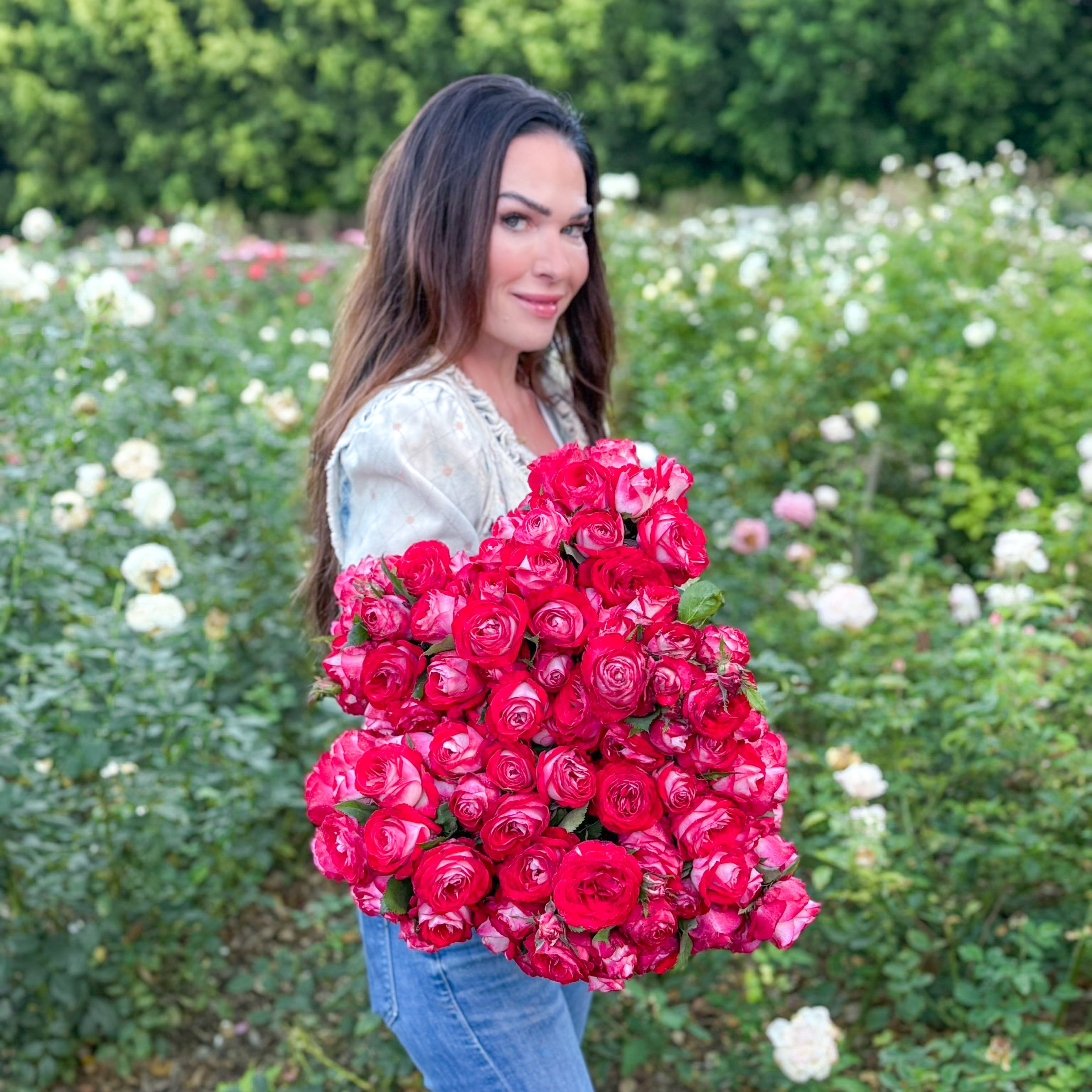 Love at First Sight™ Bare Root Rose Bush