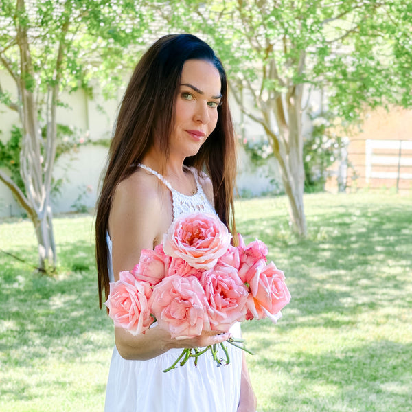 New Zealand Bare Root Rose Bush