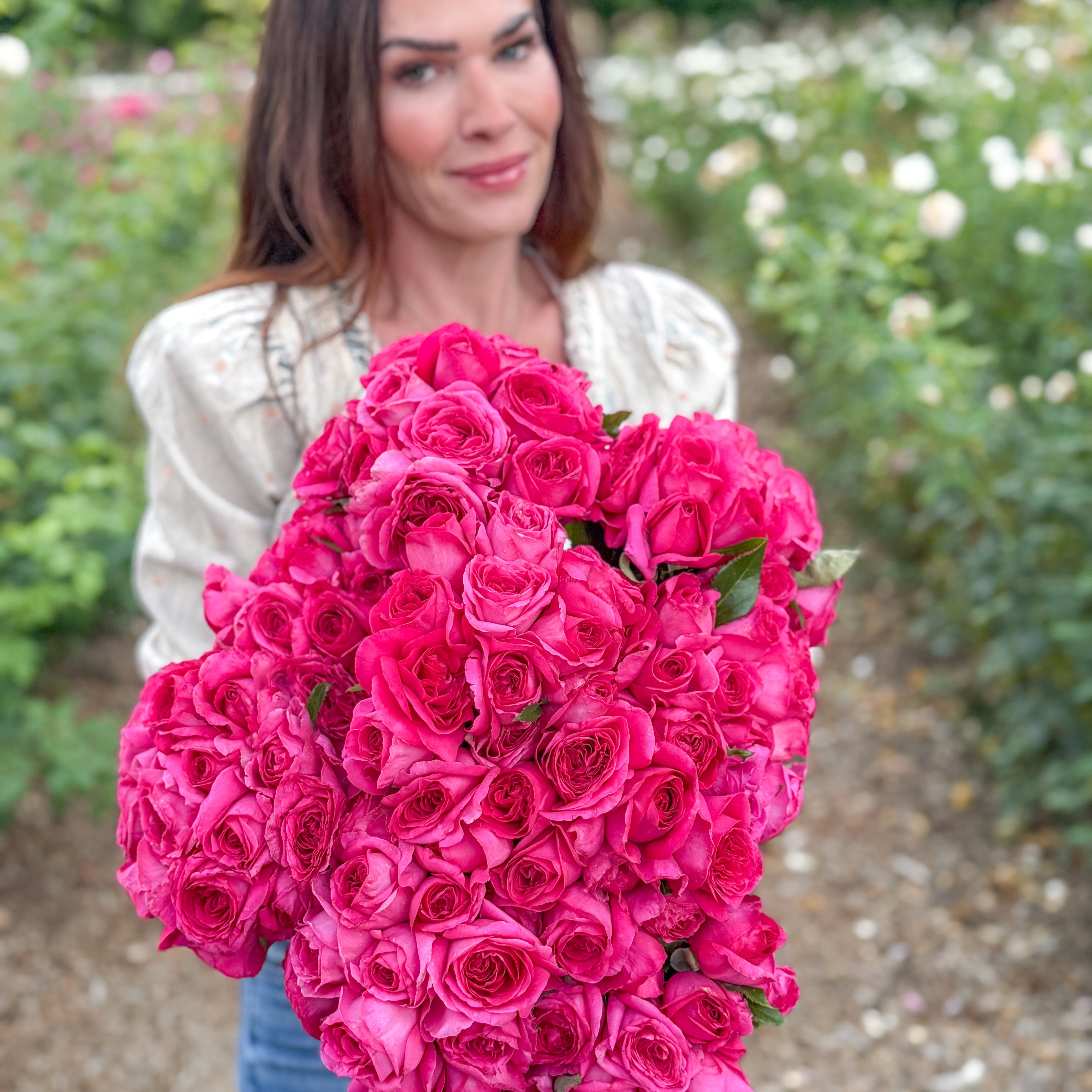 Nothing But Class Bare Root Rose Bush