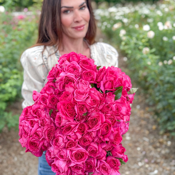 Nothing But Class Bare Root Rose Bush