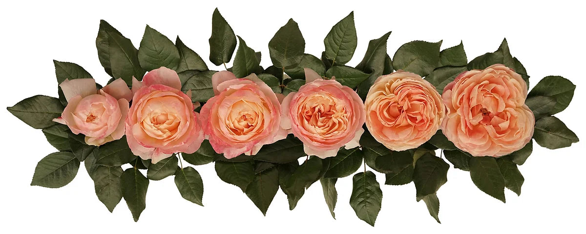 Princess Aiko® Bouquet