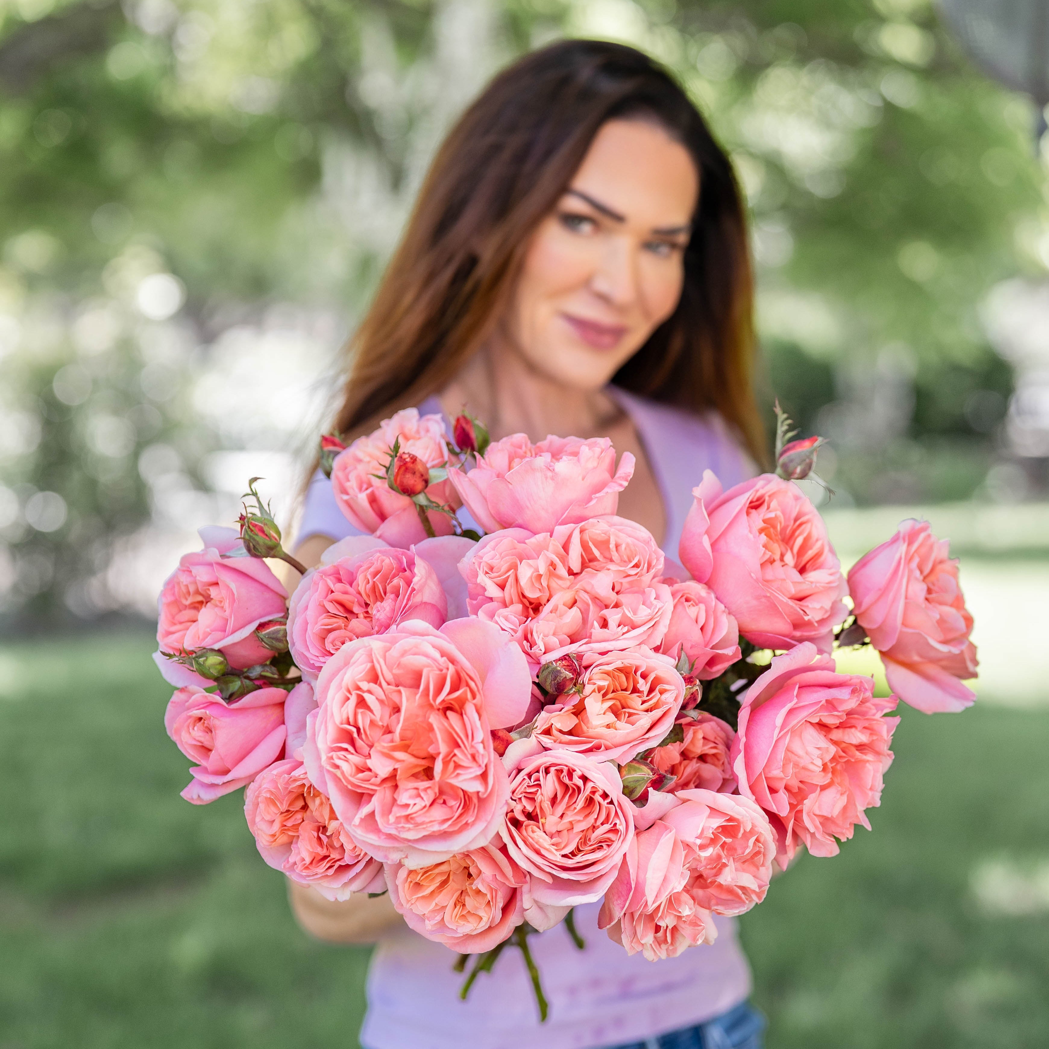 Sweet Mademoiselle™ Potted Rose Bush