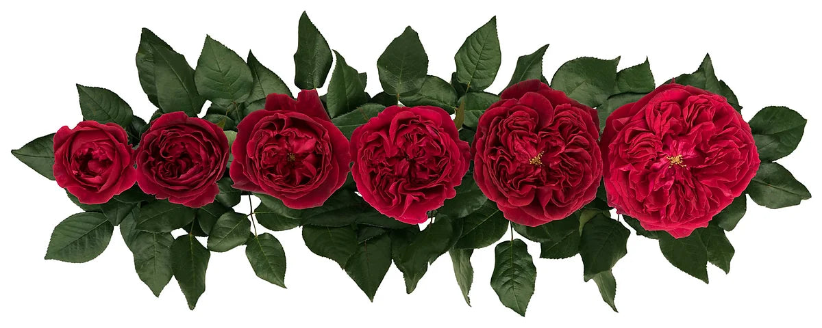 Tess™ Special Bouquet