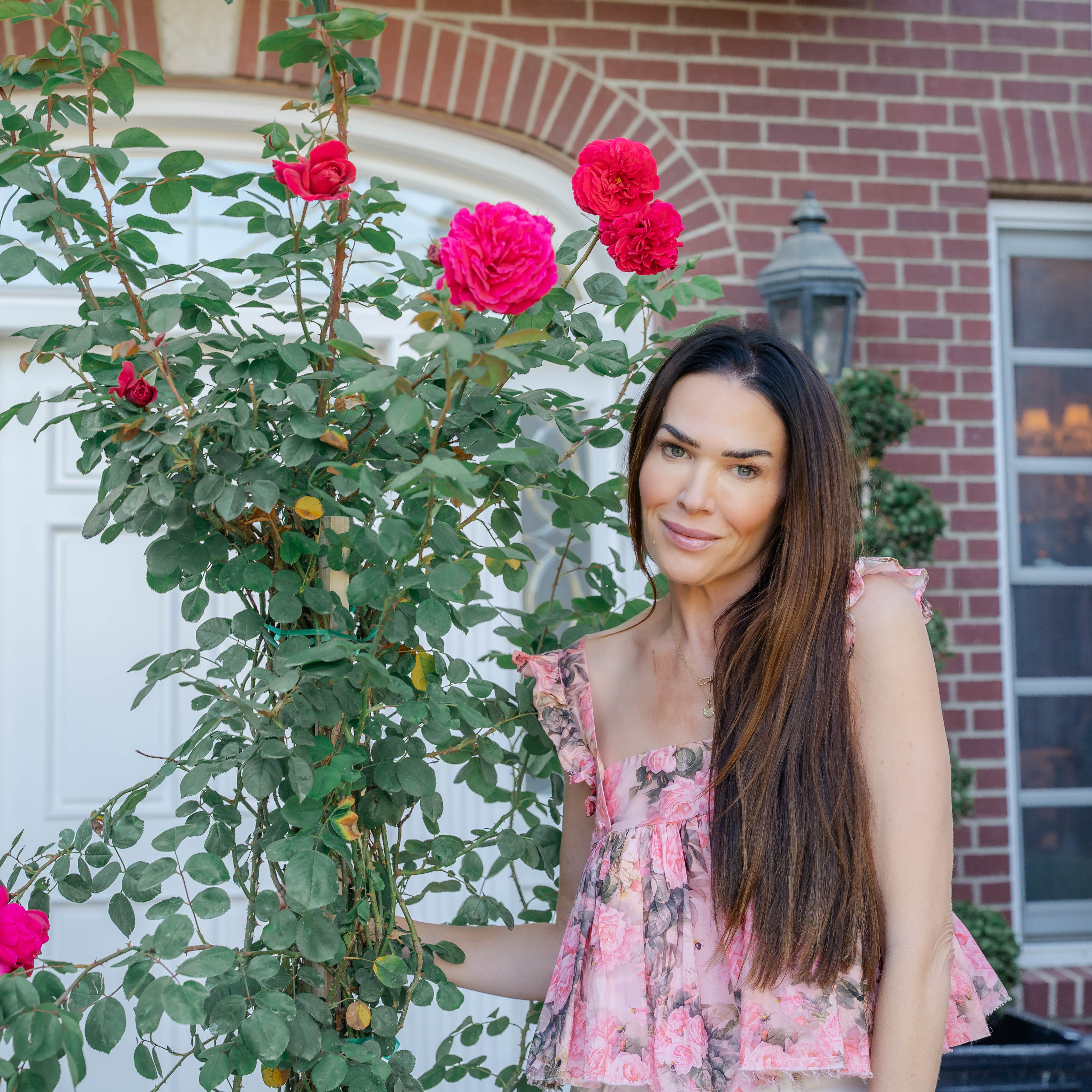 David Austin® Tess of the d'Urbervilles® Climbing Potted Rose