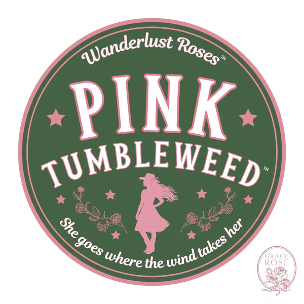 Wanderlust Roses™ Pink Tumbleweed™ Potted Rose Bush BUSHES