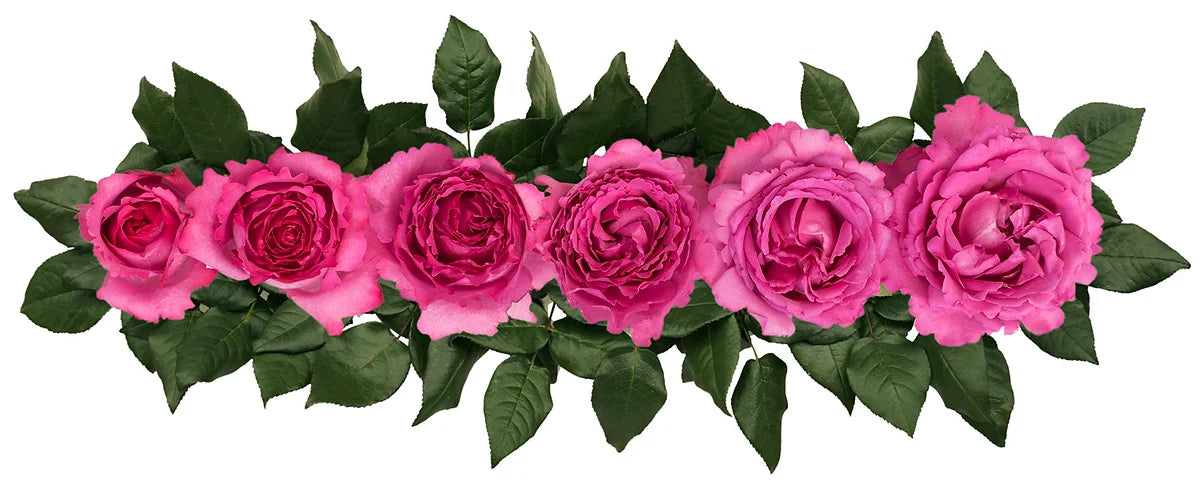 Yves Piaget® Special Bouquet