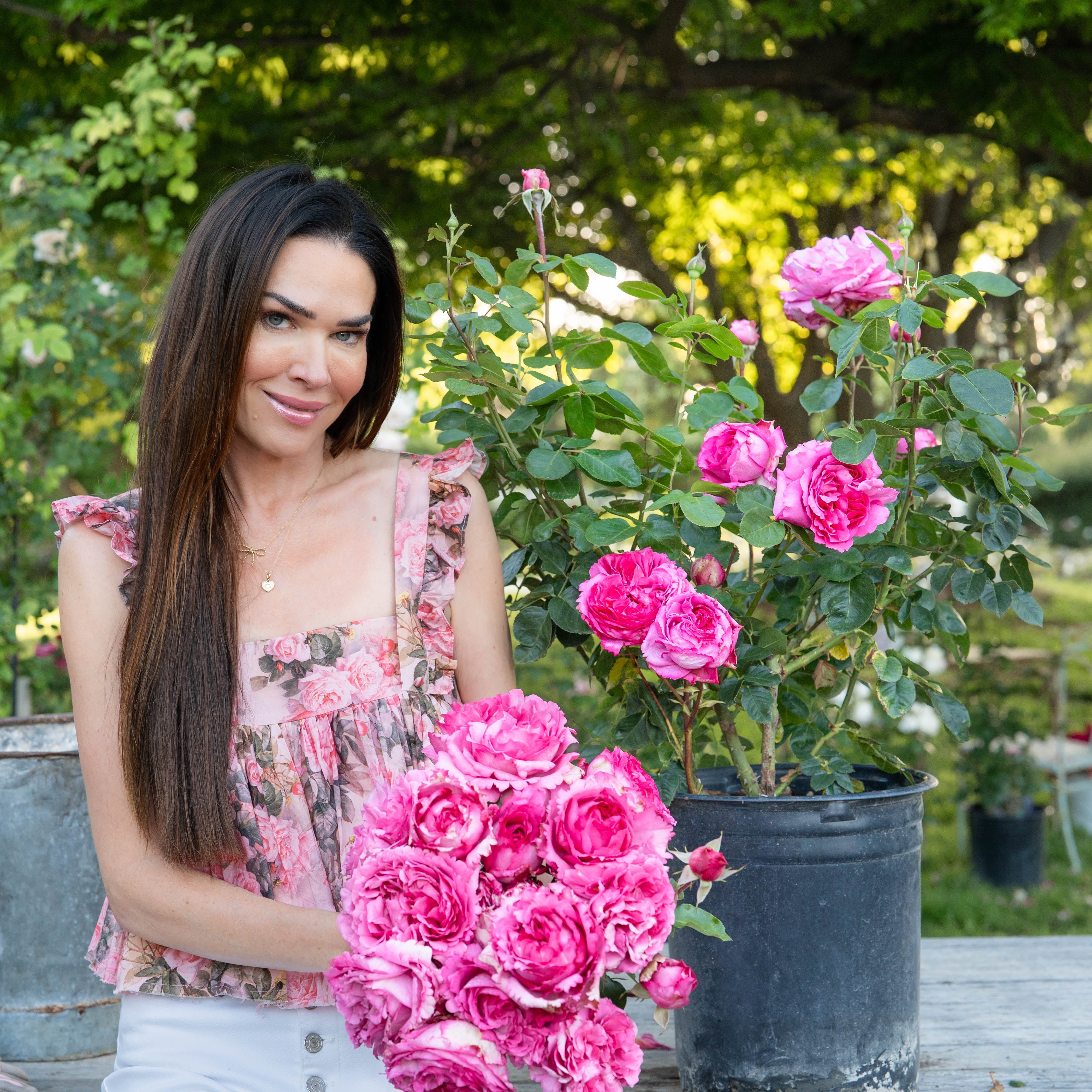 Yves Piaget® Potted Rose Bush