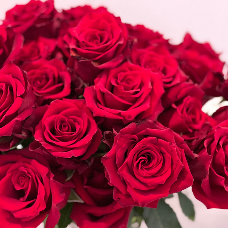 Three Dozen Classic Red Roses